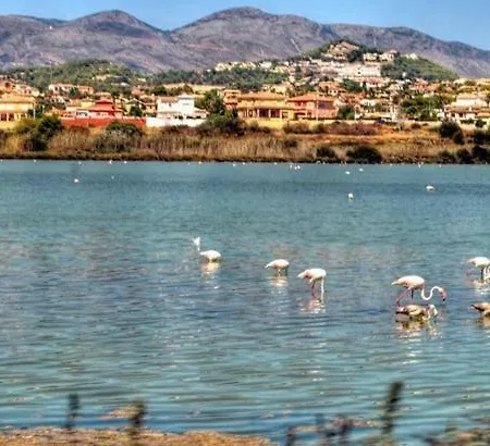 Appartement Apartamento Moderno Muy Centrico Y Cerca De La Playa *